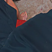 hungTortoisehung's Profile Pic