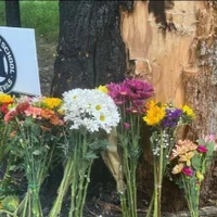 Stevie_G_'s Avatar Pic