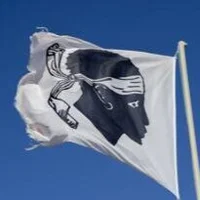rottweiler2B's Avatar Pic