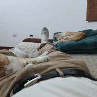 Ảnh đại diện của azutrax