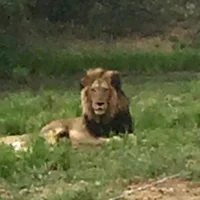 CaPoGiRo79 – Avatar fotka