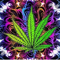MagicMan_420 avatarbilde