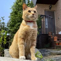 Serious6974: изображение аватарки