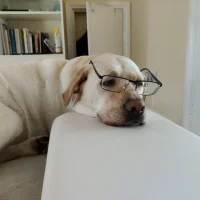 MosesWasp's Profile Pic
