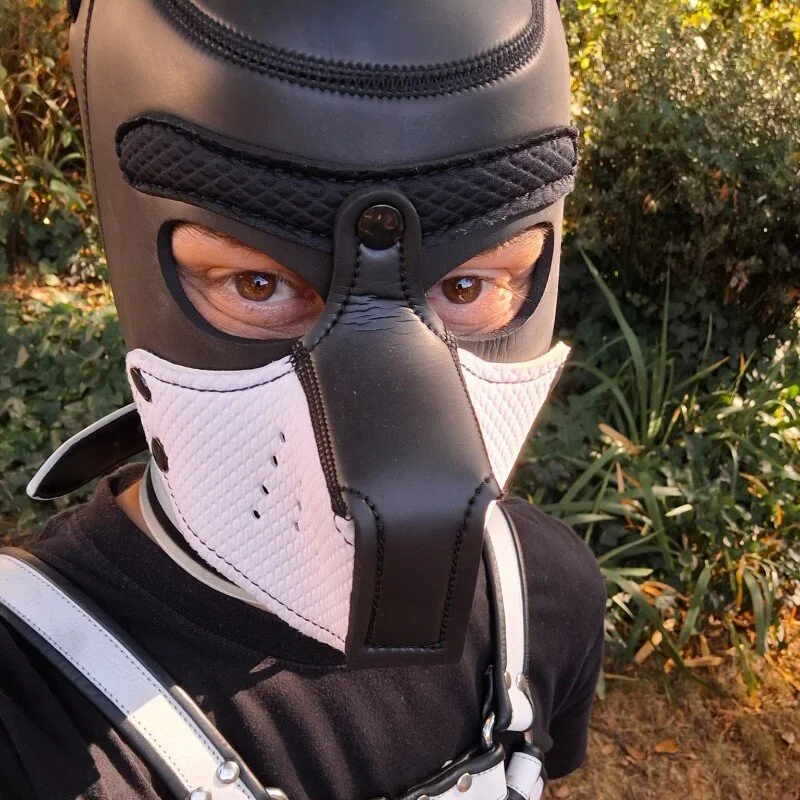 Nick_Pup_Amp profile photo