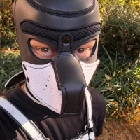 Nick_Pup_Amp
