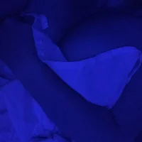 yourFullDesires2nite Φωτ, Προφίλ