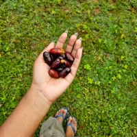 wenulikavee's Avatar Pic