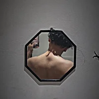 Vergon_Si