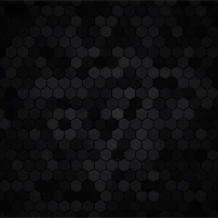 TheFoxDen Φωτ, Προφίλ