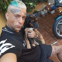 show_decks Avatar-Bild