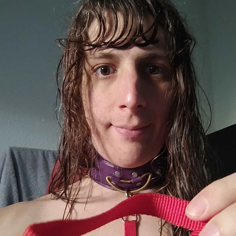 AmbreToulouse Stripchat profile image
