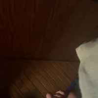 Timy123455 的個人資料圖片