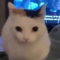 Toaster_Cat Immagine Avatar
