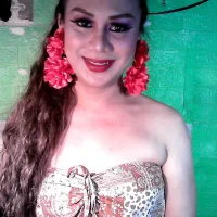 godescock webcam