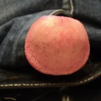 smallcock12377 avatarképe