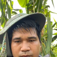 Profilová fotka NZKHalinh