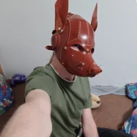 Nachtpelzs profilbillede