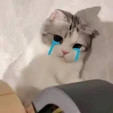 MIJ-Uwuu