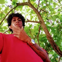 pintinho71's Profile Pic