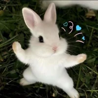 tutu-77 Poză avatar