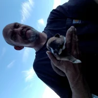 Shaggyybonez777's Profile Pic