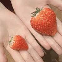 Afbeelding van nico_25_ll