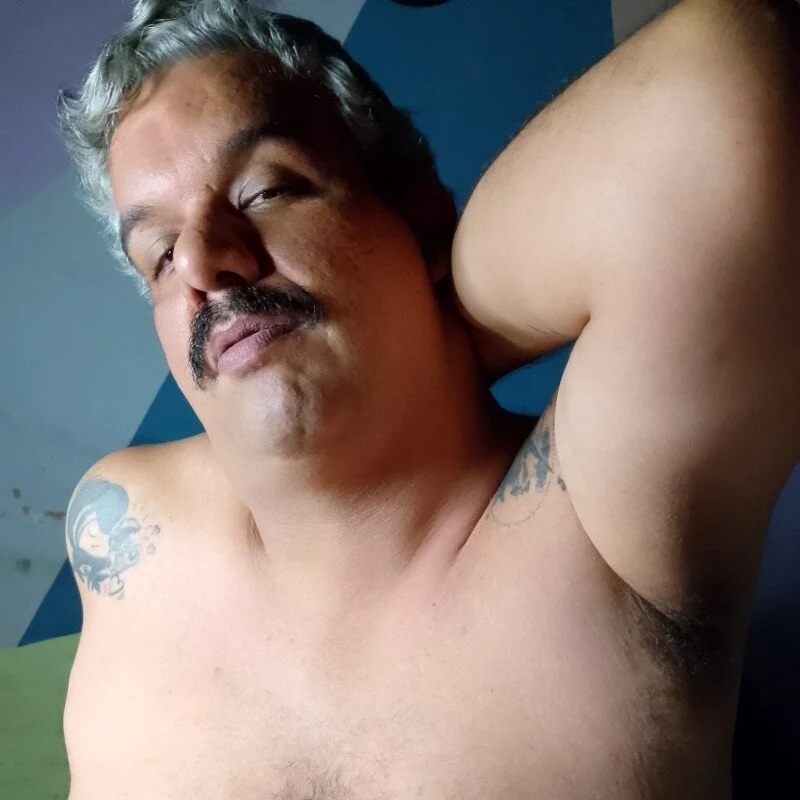 CasadoUrsoPuto profile photo