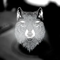 Danyel-23's Avatar Pic