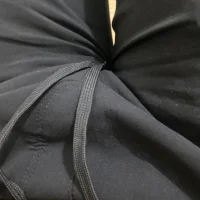 fdugyu webcam