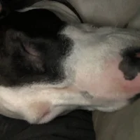 صورة أفاتار inkaddik