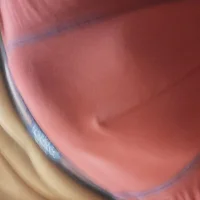 semental_25's Profile Pic