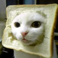 zuidao01's Avatar Pic