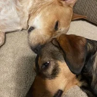 Dilligafman: изображение аватарки