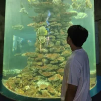 xboyvn9のプロフィール写真