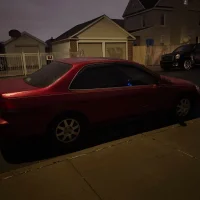 Ảnh Đại Diện Clitsuckamuthafuckaa