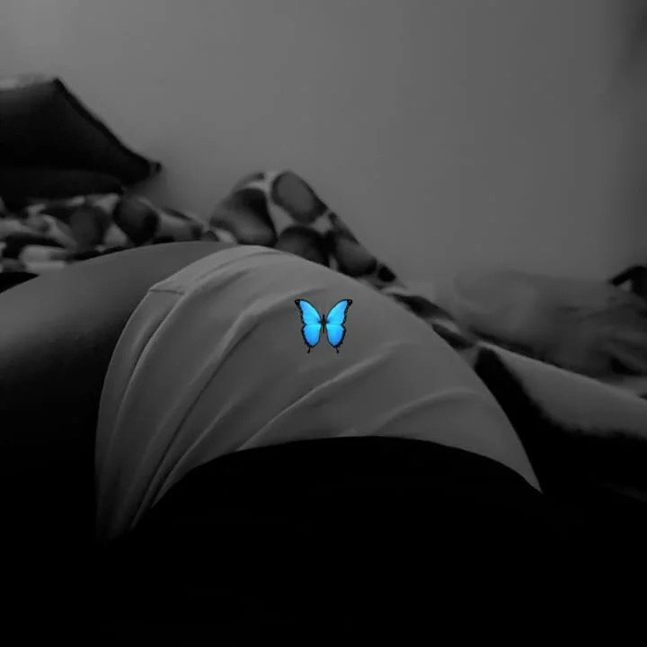 silkcherry profile photo