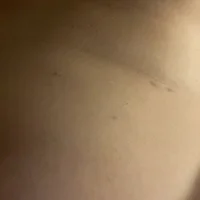 norwaydude36n Profiilikuva