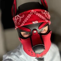 AndreDox avatarbilde