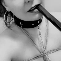 typical_missys profilbillede