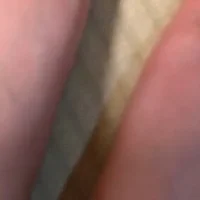 poca_pig webcam