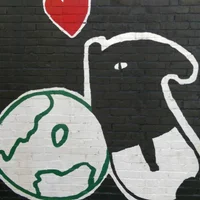 ashin668's Avatar Pic