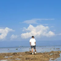 minuxx's Profile Pic