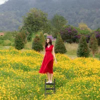 Immagine del profilo di Mayly_Sweet