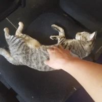 munneco20yc Avatarfoto