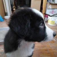 jeanclaude001's Avatar Pic