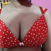 Red-Bird2 頭像圖片