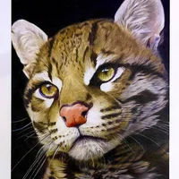 Аватар riskypublic