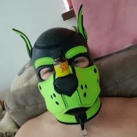 RockyThepups profilbillede