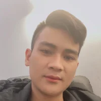 Nguyenvinhdus profilbillede